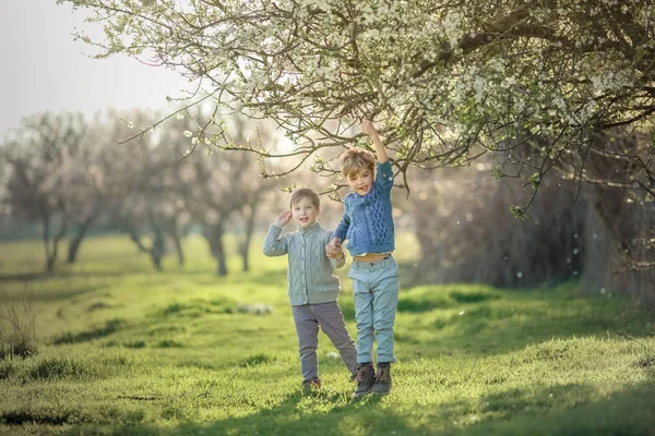 Due amici in estate nel Parco si divertono e si divertono all'aria aperta — Foto Stock