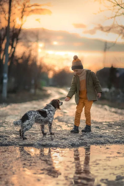 Un niño con un perro en la calle cerca de un charco al atardecer — Foto de Stock