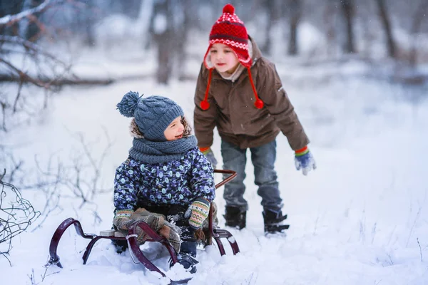 Dos niños en edad preescolar en trineo en la nieve — Foto de Stock