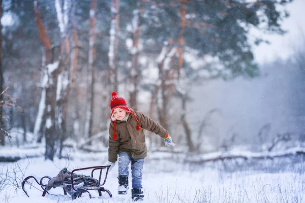 Un niño con un paseo en trineo en un césped cubierto de nieve contra el telón de fondo de árboles altos . — Foto de Stock