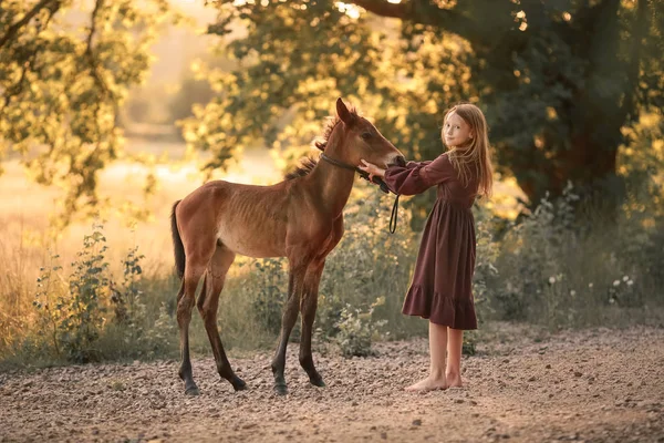 Bir çiftçi kızı sarı bir çayırda at yürür. — Stok fotoğraf
