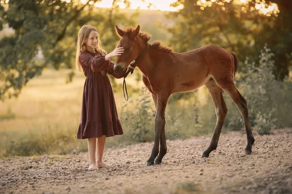 Flicka går hem ung häst på en våräng med gult gräs — Stockfoto
