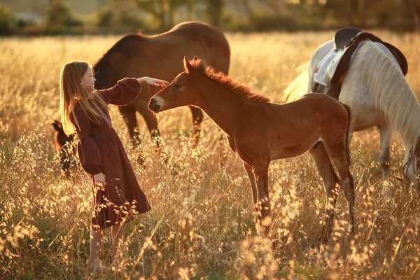 En 12-årig flicka går barfota på en åker med en liten häst — Stockfoto