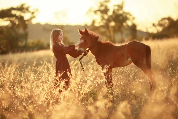 Una contadina cammina su un cavallo in un prato giallo — Foto Stock