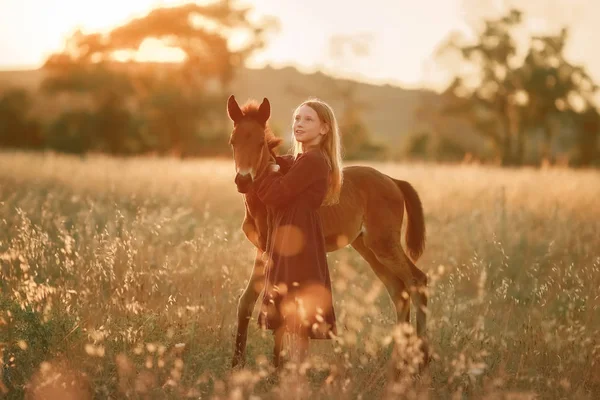 En 12-årig flicka går barfota på en åker med en liten häst — Stockfoto