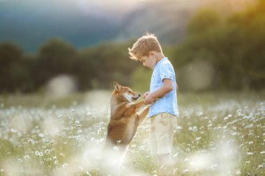 Bir köpek bir çocuk için en iyi arkadaştır. Dışarıda insan olan bir hayvan.
