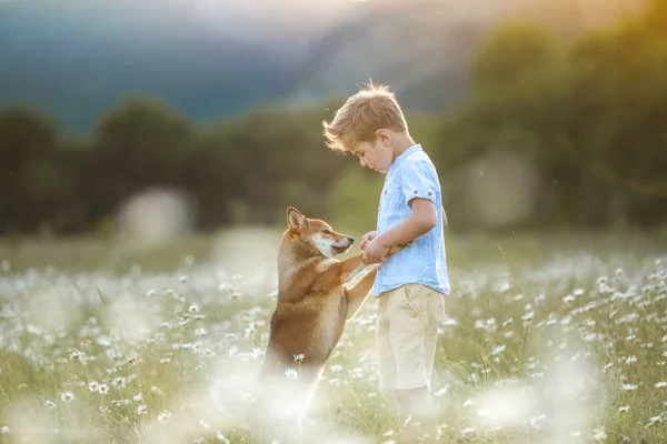 Een hond is de beste vriend voor een kind. Dier met mens buitenshuis — Stockfoto