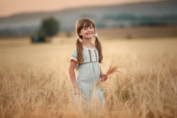 Ein Mädchen mit Stacheln in den Händen und Zöpfen im Haar in einem Weizenfeld — Stockfoto