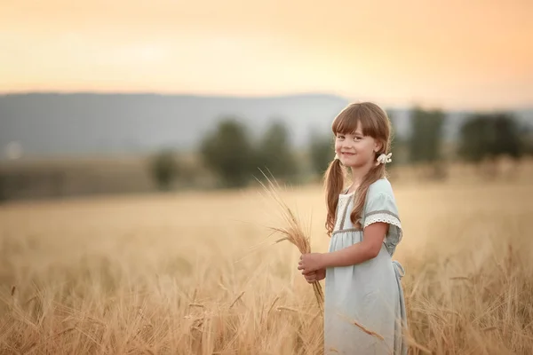 Baby girl rolnik w naturalnym złotym polu pszenicy — Zdjęcie stockowe