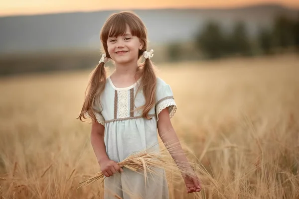 Egy lány tüskékkel a kezében és fonatokkal a hajában a búzamezőn. — Stock Fotó
