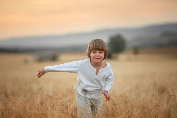 Un băiat de la țară de 6 ani trece printr-un câmp de grâu agricol — Fotografie, imagine de stoc