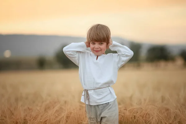 Anak ceria yang bahagia di luar ruangan di ladang gandum emas — Stok Foto