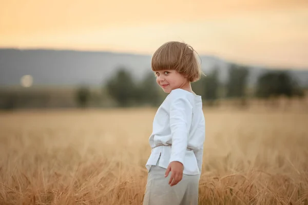 Buğday tarlasında beyaz gömlekli bir çocuk. — Stok fotoğraf