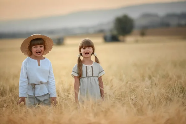 Dos niños un niño y una niña en edad preescolar caminan juntos en un campo de trigo —  Fotos de Stock