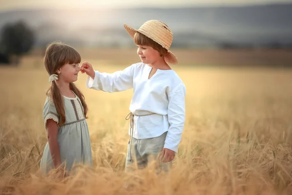 Dos niños un niño y una niña en edad preescolar caminan juntos en un campo de trigo —  Fotos de Stock