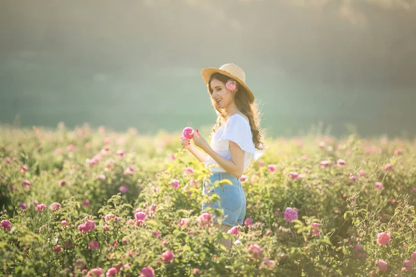 Una mujer con sombrero camina en el campo de verano con una rosa salvaje —  Fotos de Stock