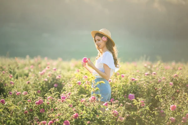 Şapkalı bir kadın vahşi bir gülle yaz tarlasında yürüyor. — Stok fotoğraf