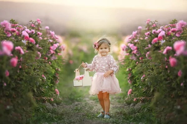 Menina bonito bebê perto nos arbustos com as rosas — Fotografia de Stock