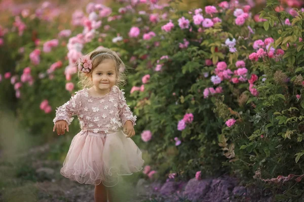 Menina bonito bebê perto nos arbustos com as rosas — Fotografia de Stock