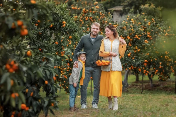 Eine glückliche Familie ein Mann, seine Frau und sein Kind inspizieren eine Ernte von Pfirsichbäumen — Stockfoto