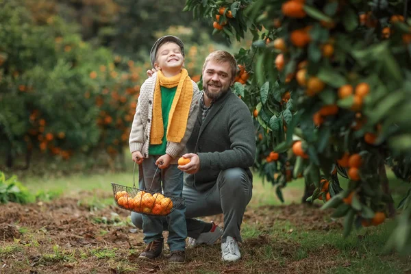 Dad hugs son in orchard with fruit trees during harvest