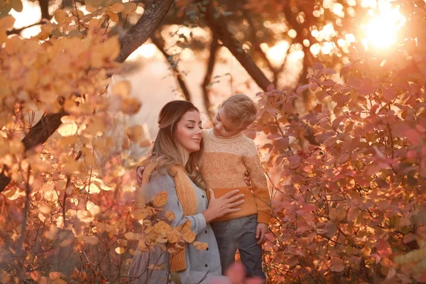 秋天，妈妈和儿子穿着暖和的衣服在公园里散步 免版税图库照片