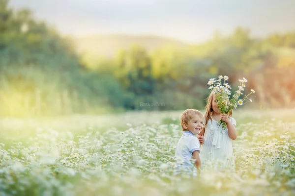 Un niño y una niña de 4-6 años en trajes blancos corriendo en un campo de manzanilla prado floreciente —  Fotos de Stock