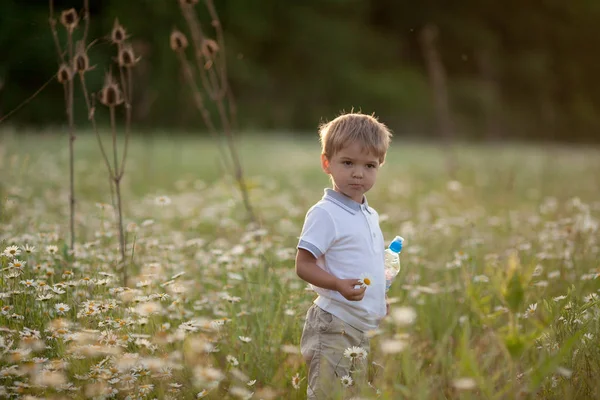 Un petit garçon en chemise blanche marche dans un pré fleuri vert printemps — Photo