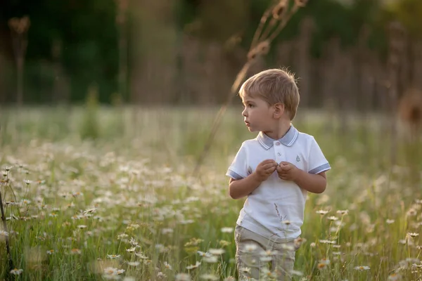 Beyaz gömlekli küçük bir çocuk bahar yeşili bir çayırda yürüyor. — Stok fotoğraf