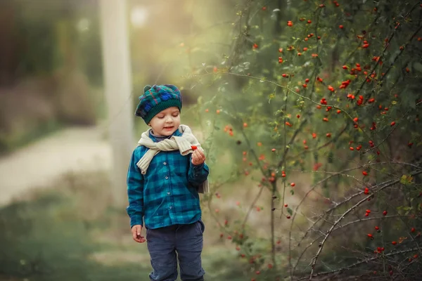 Junge 5-7 Jahre in der frischen Natur in Gummistiefeln und Herbstkleidung im Wald spazieren — Stockfoto