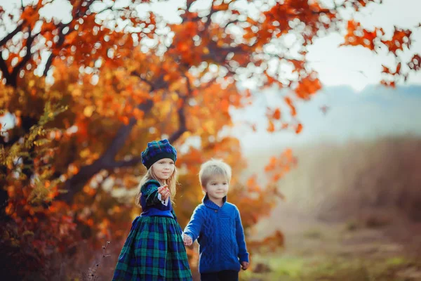 Děti bratr a sestra procházka v podzimním žlutém lese oblečené ve francouzském Provence stylu — Stock fotografie