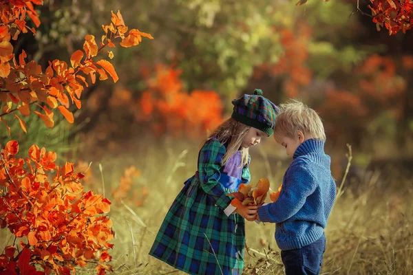 Niños hermano y hermana caminan en el bosque amarillo de otoño vestidos en el estilo francés de la Provenza — Foto de Stock