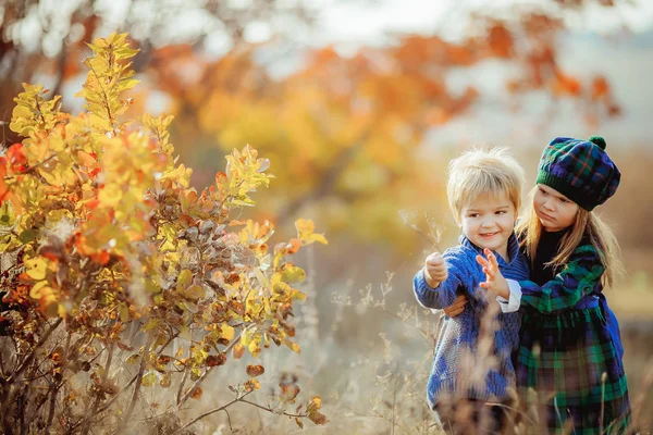 Crianças irmão e irmã caminham na floresta amarela do outono vestidos em estilo francês Provence — Fotografia de Stock