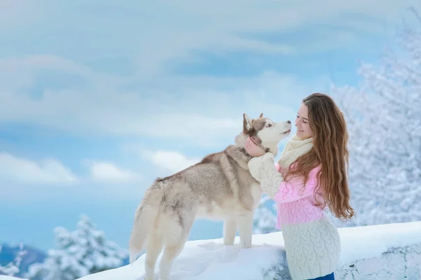 Žena s chraplavým psem kráčející po zasněžených horách — Stock fotografie