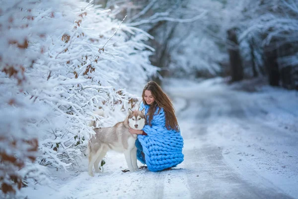 Μια νεαρή γυναίκα με ένα γεροδεμένο σκυλί κάθεται σε ένα χιονισμένο δρόμο. — Φωτογραφία Αρχείου