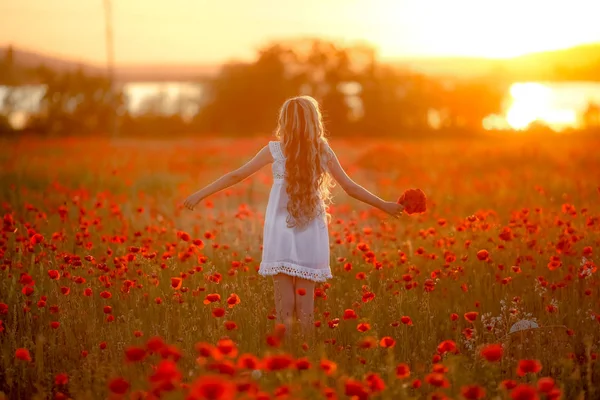 一个长头发的女人在夕阳西下，身披着罂粟的红色田野里 — 图库照片