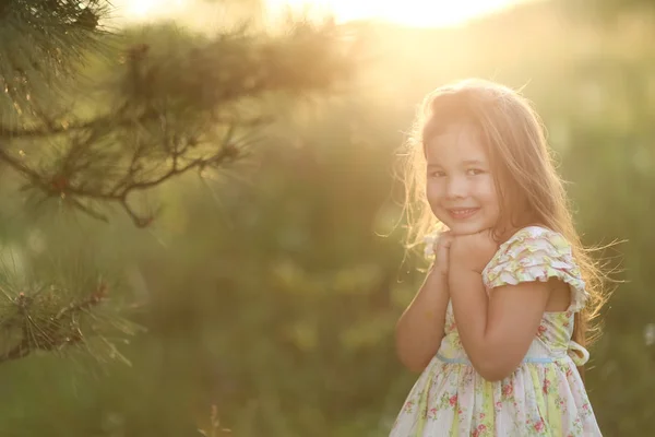 Buğdaylı tarlada tek başına küçük bir kız. — Stok fotoğraf