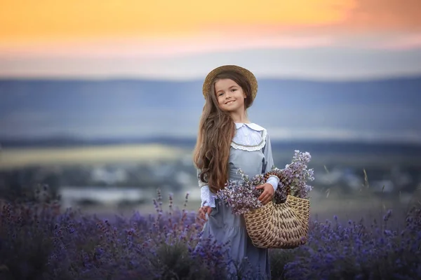 8-jähriges Mädchen in lila Baumwollkleid sammelt Lavendelblüten auf natürlichem Feld — Stockfoto