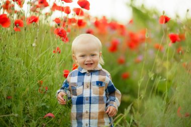 Küçük çocuk, arka plandaki uzun yeşil çimlere yaklaş.