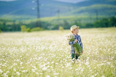 Bir çocuk, yaz Alp dağlarının arka planında beyaz papatyalarla kokulu bir tarlada duruyor..