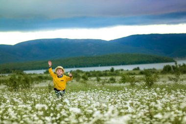 Ufuktaki dağların arka planındaki bir çayırda papatya toplayan çocuk.