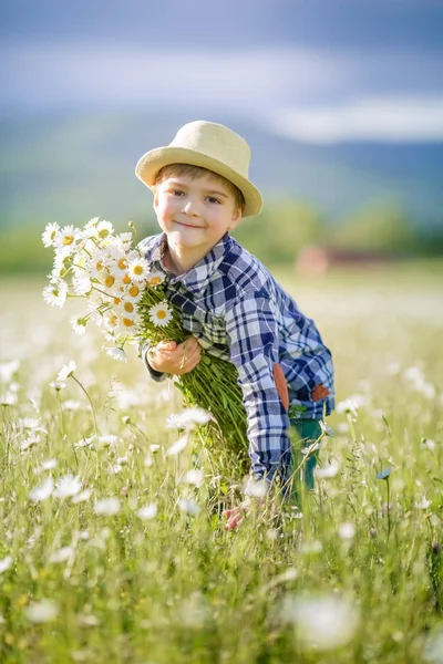 Мальчик в шляпе на лугу с зеленой травой собирает полевые цветы — стоковое фото