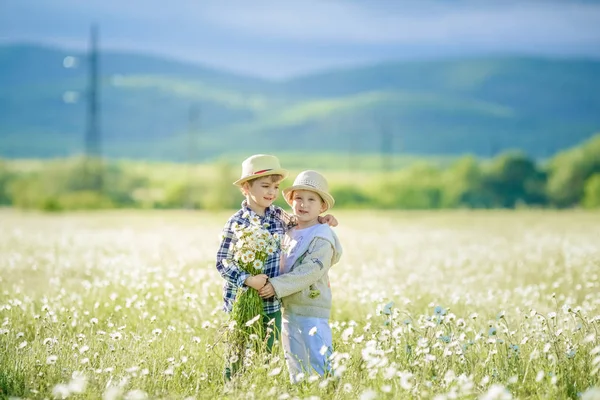 Escena rural de dos hermanos paseando por un prado mientras recogen margaritas — Foto de Stock