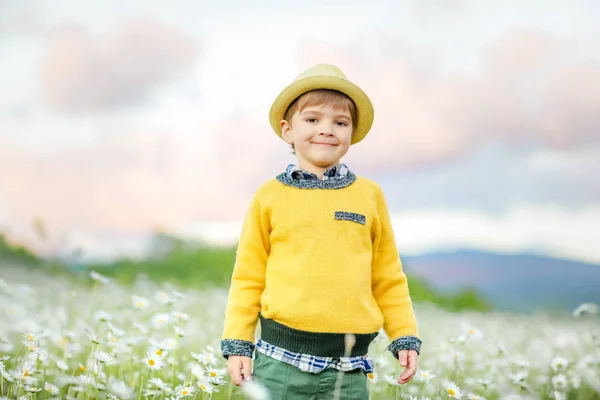Seorang anak laki-laki bertopi dan sweater kuning di padang rumput dengan bunga putih. Adegan desa — Stok Foto