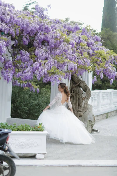 Elbűvölő fiatal nő, klasszikus fehér esküvői ruhában, séta a parkban az esküvője napján. — Stock Fotó
