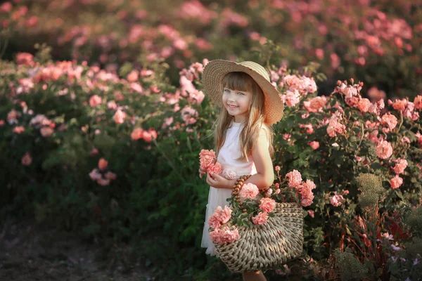 Egy kislány fehér ruhában, törött kalapban egy levendulamezőn. — Stock Fotó
