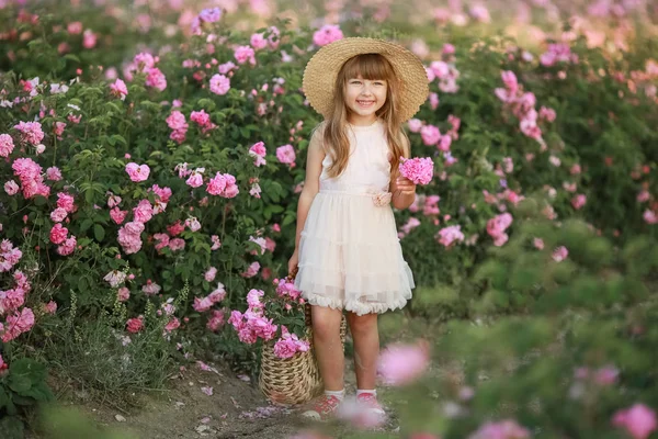 Situado em um campo selvagem natural com rosas menina 6 anos de idade recolhe um buquê de rosas — Fotografia de Stock