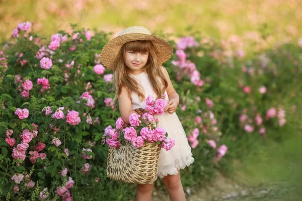 A child in a white dress on the background of a field with a wild natural rose — 스톡 사진