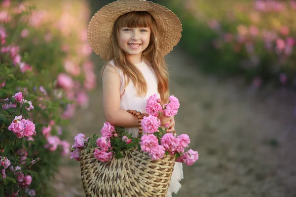 Situado em um campo selvagem natural com rosas menina 6 anos de idade recolhe um buquê de rosas — Fotografia de Stock