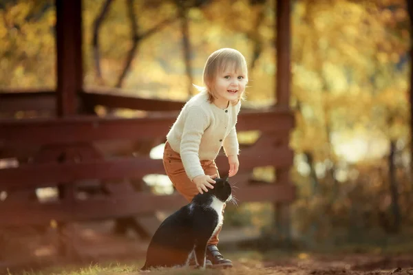 Een meisje met een huiselijke kat wandelen in de herfst openbaar park met gele bladeren — Stockfoto